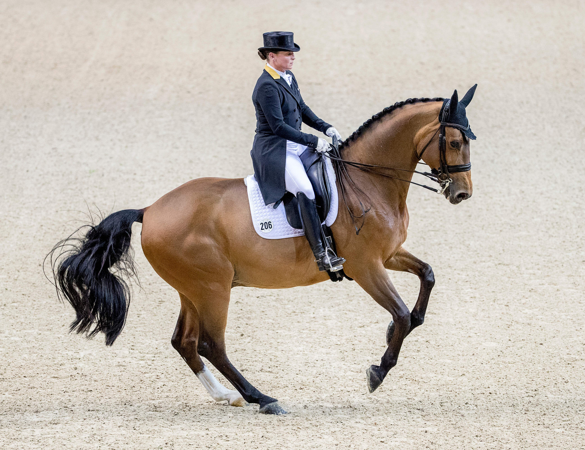 Werth claims FEI World Cup dressage title in ’s-Hertogenbosch