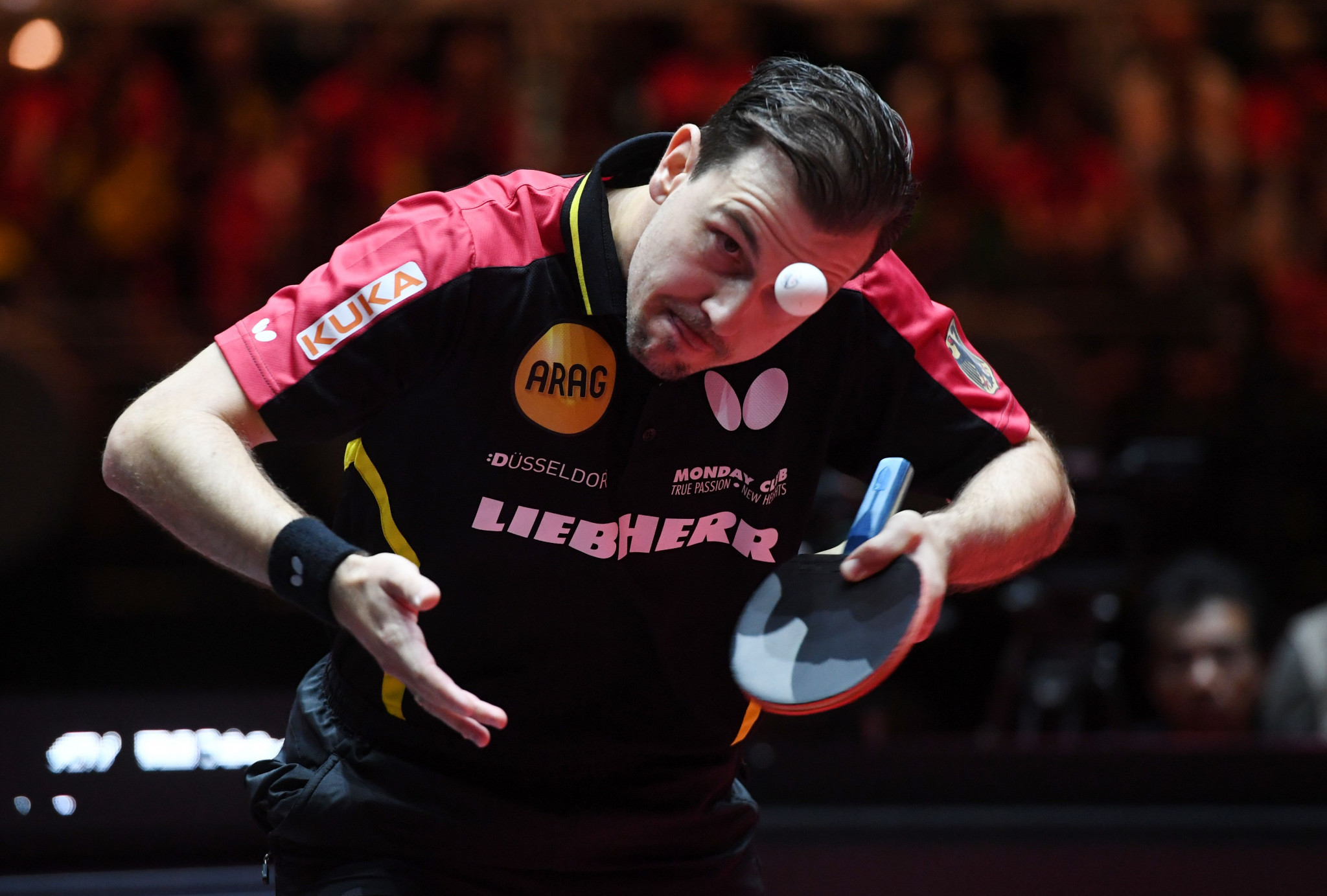 Timo Boll is the big surviving German hope in the men's singles draw ©Getty Images