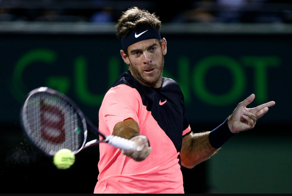 Juan Martin del Potro's winning run came to an end today ©Getty Images