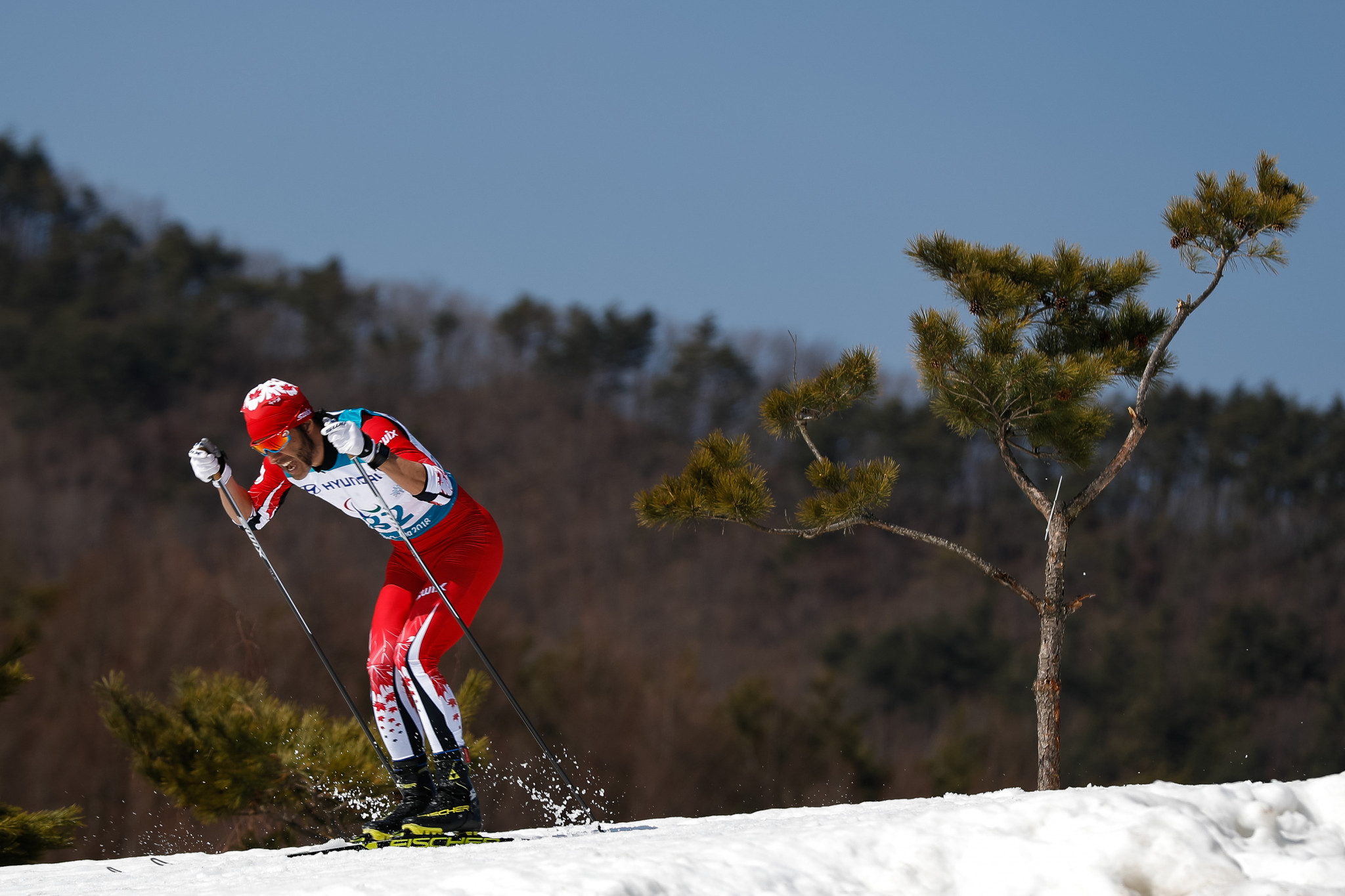 Record breaking cross-country skier Brian McKeever is also shortlisted ©Getty Images