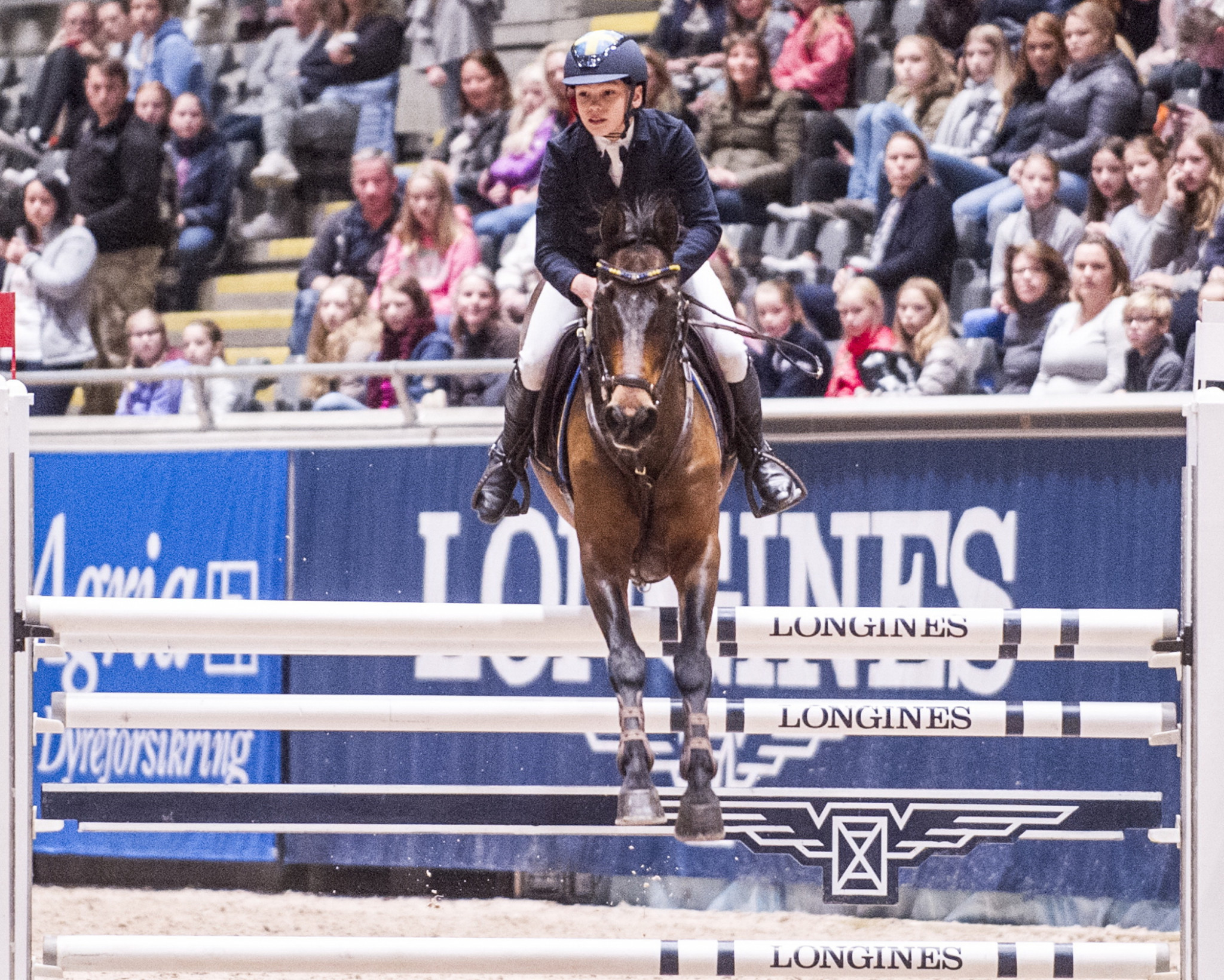 FEI announce host cities for youth equestrian events