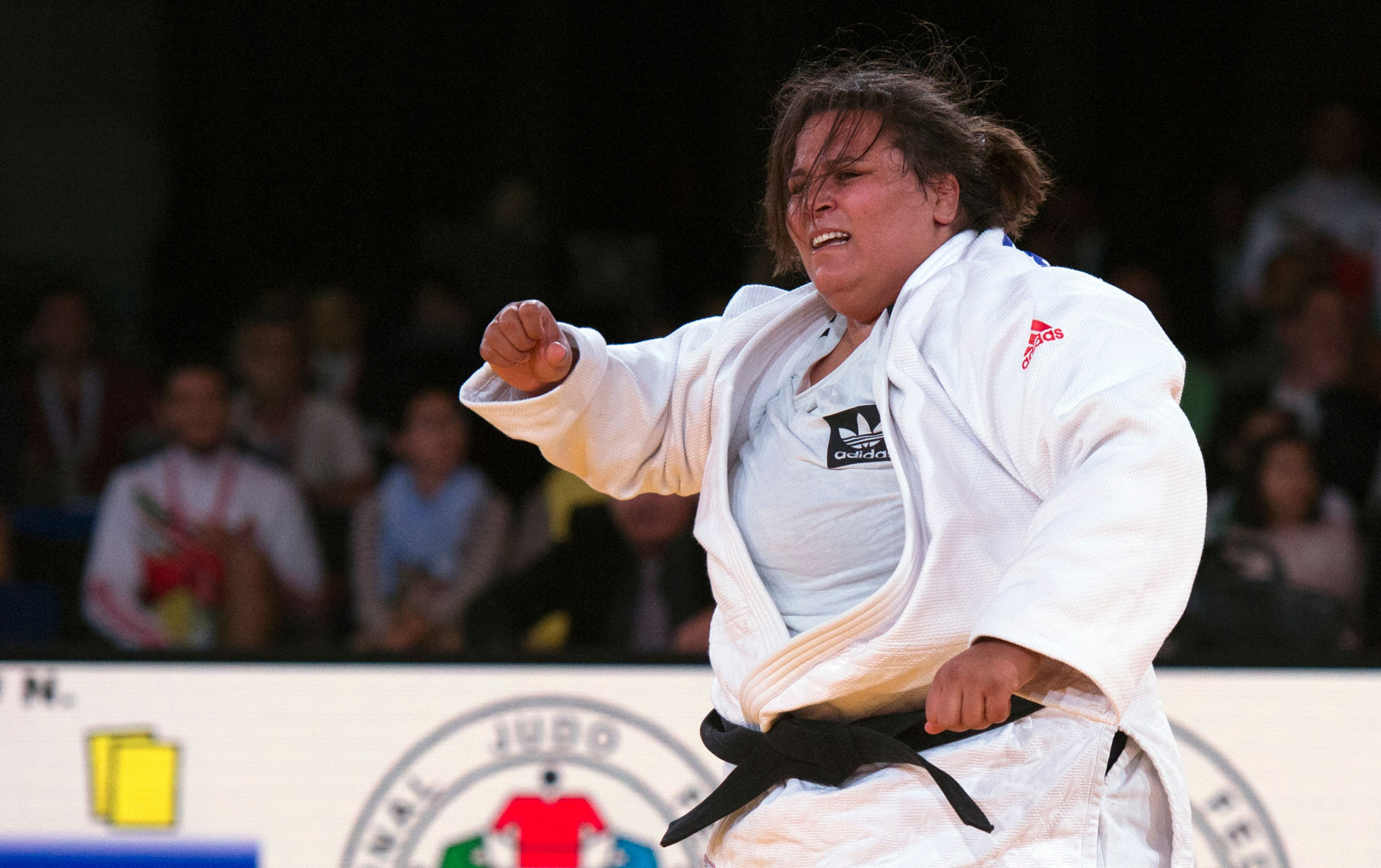  Two gold medals for host nation on opening day of African Judo Championships in Tunis