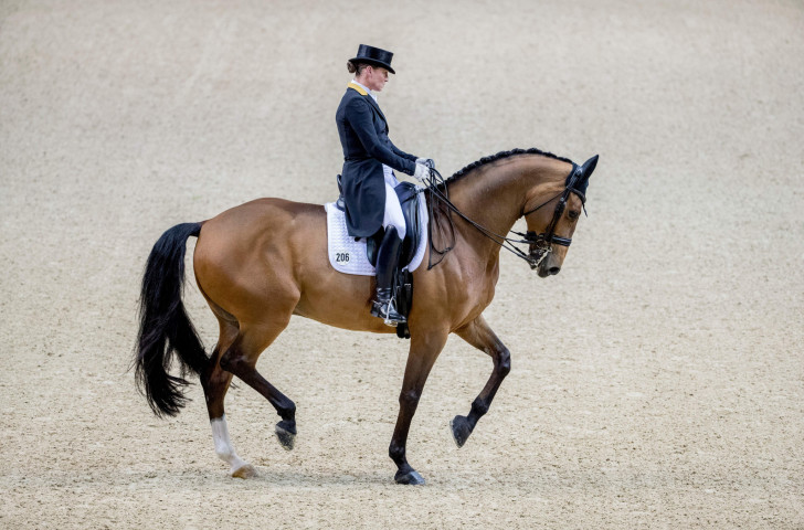 Isabell Werth, defending champion in the FEI World Cup Dressage Final in Paris, goes into tomorrow's Freestyle competition in second place behind Laura Graves of the United States ©Getty Images