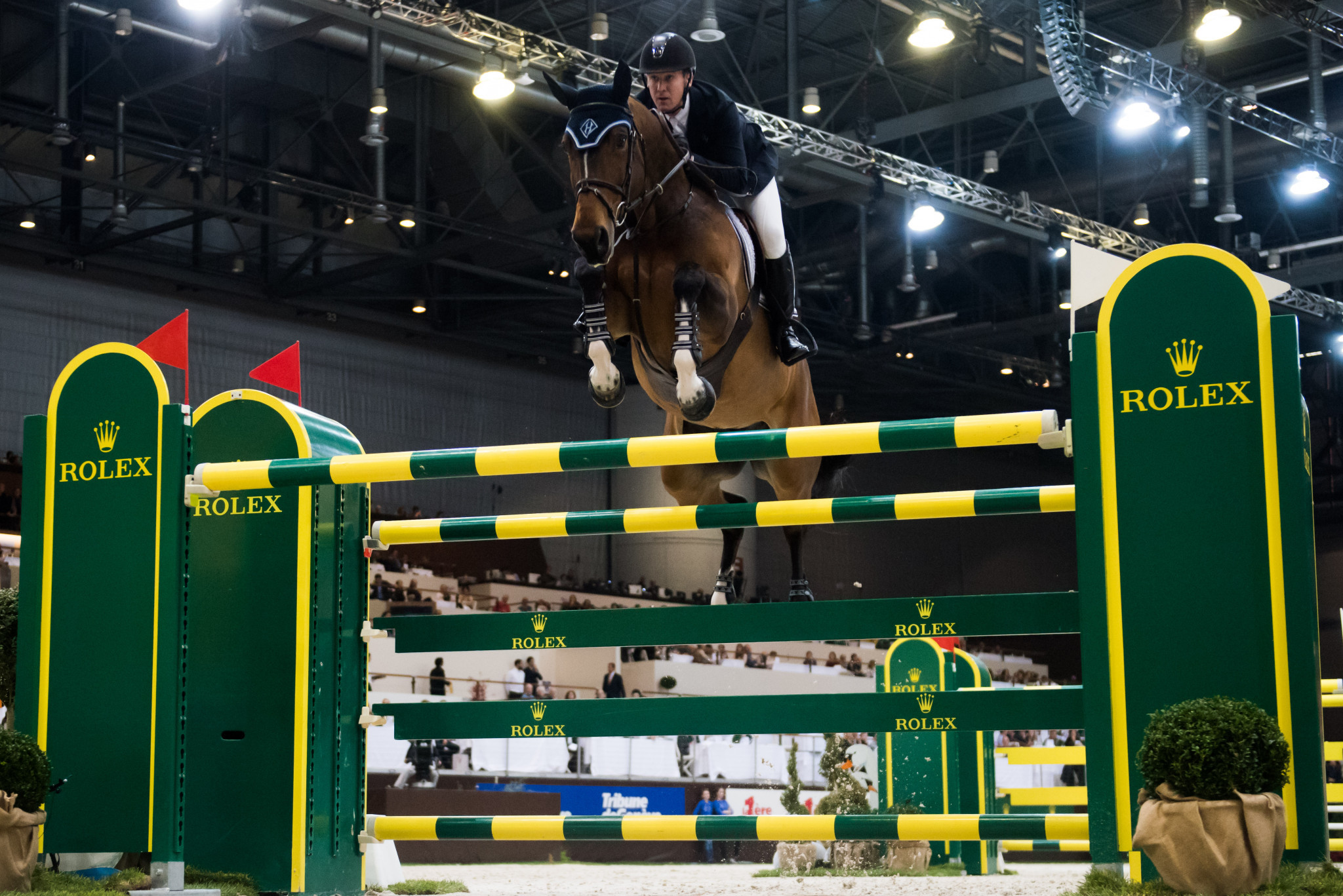 HH Azur, the mare ridden by America's McLain Ward, has been voted the World’s Best Jumping Horse by the FEI ©Getty Images