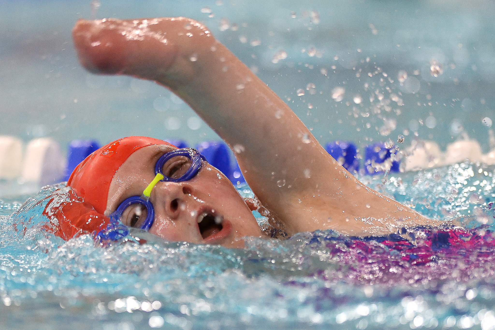Around 100 swimmers took part at the event in Southampton ©EFDS