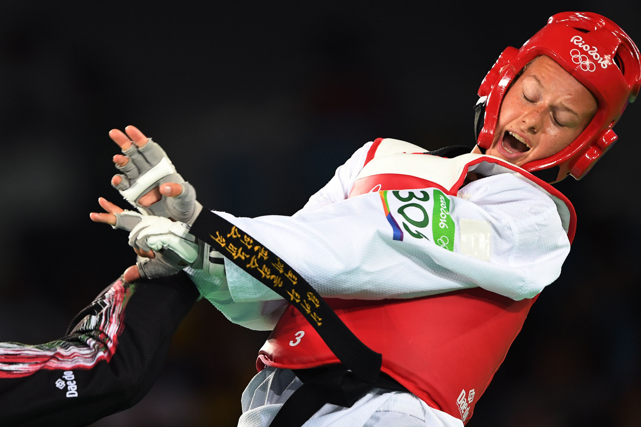 Taekwondo was the third-fastest growing sport in Sweden from 2010 to 2016 ©Getty Images