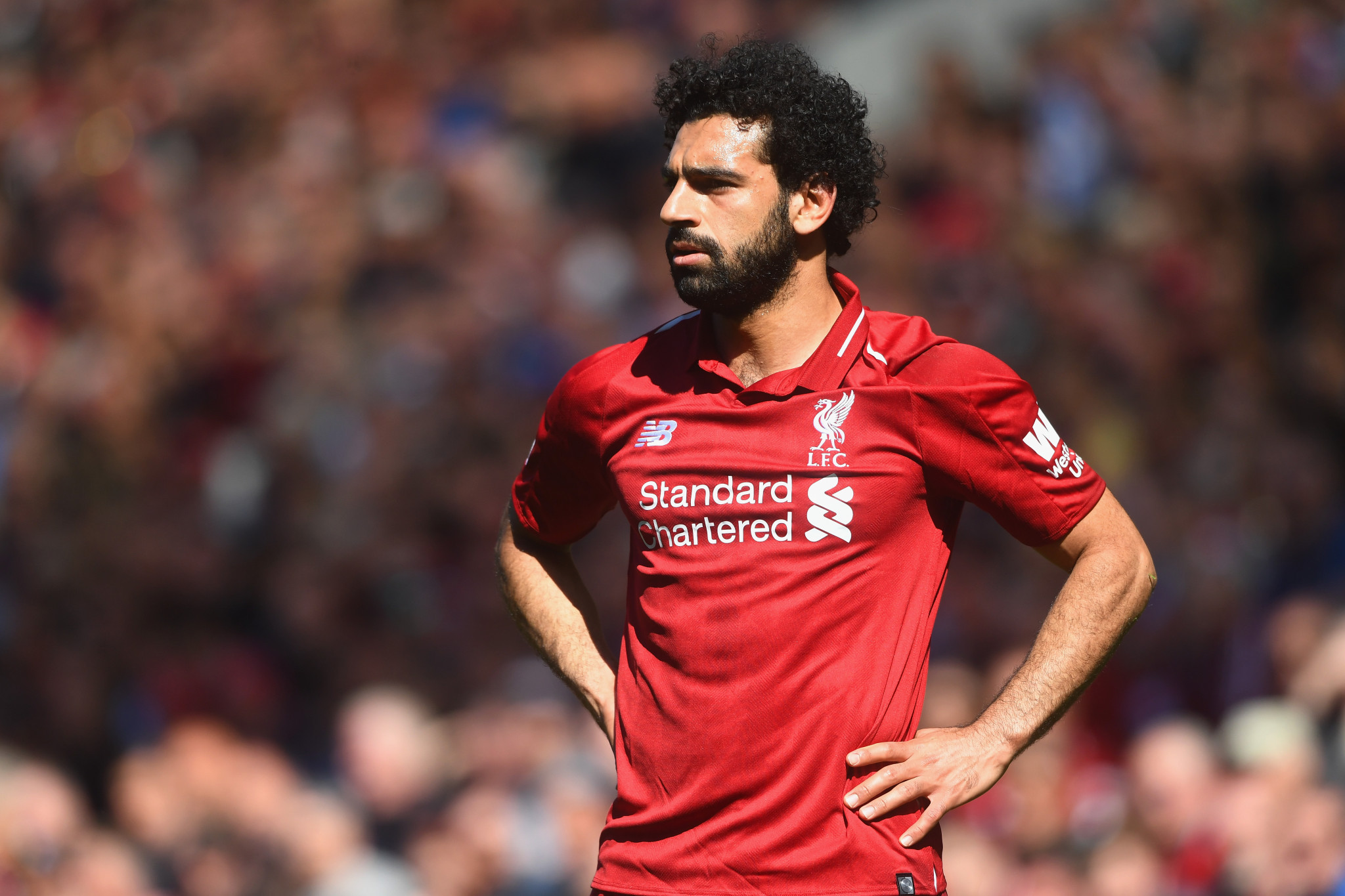 Mo Salah of Liverpool has hoovered up plaudits this season ©Getty Images