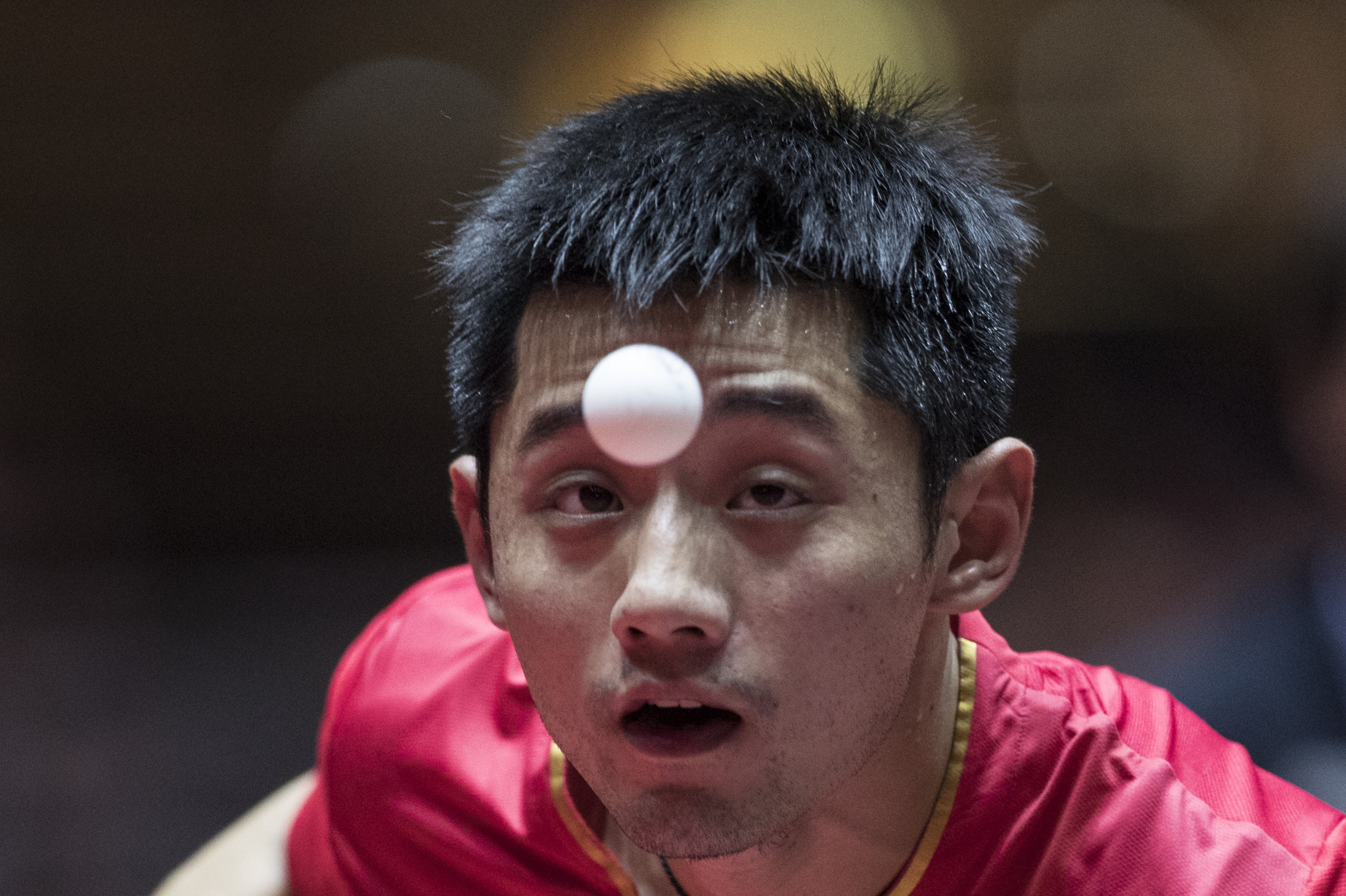 Zhang Jike is competing at the ITTF Hong Kong Open ©Getty Images