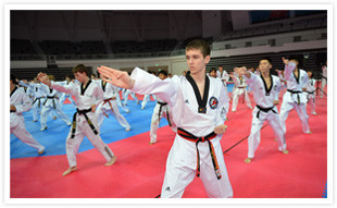 The Taekwondo Hall of Fame will be built inside the Taekwondowon in Muju in South Korea ©Taekwondon