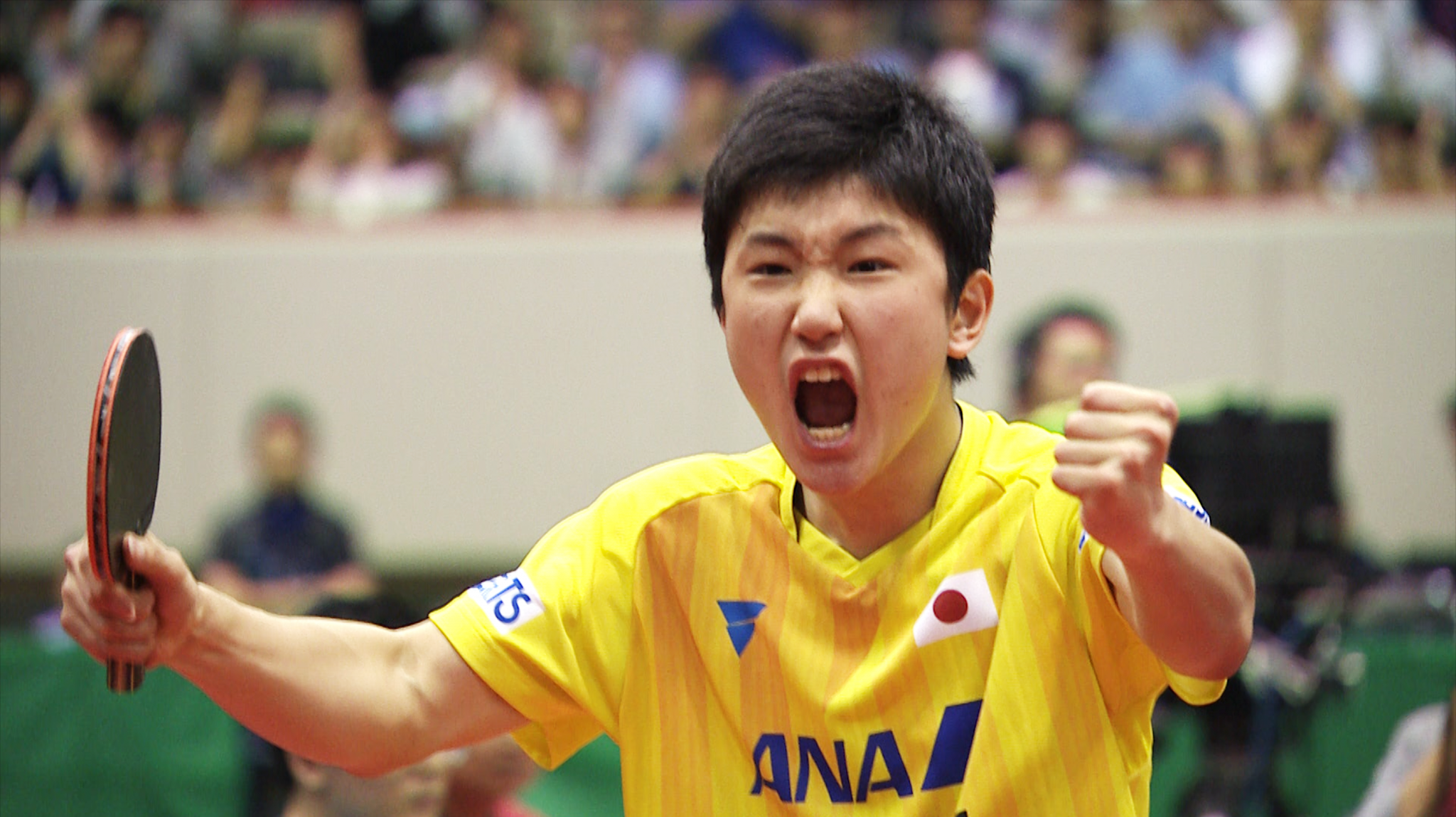Fourteen-year-old ace Harimoto continues remarkable rise with ITTF Japan Open title