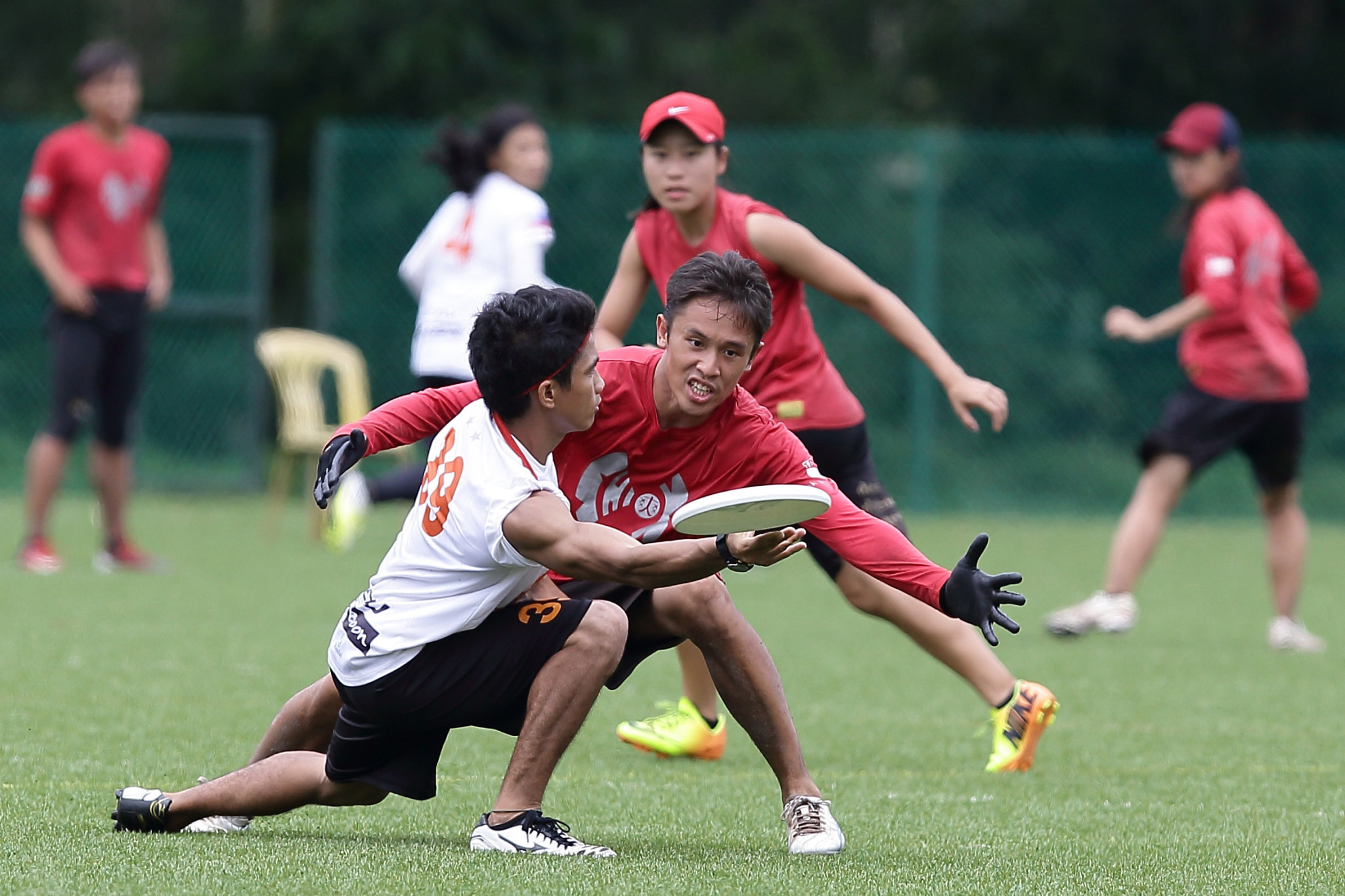 Shanghai to host 2019 Asia Oceanic Ultimate and Guts Championships