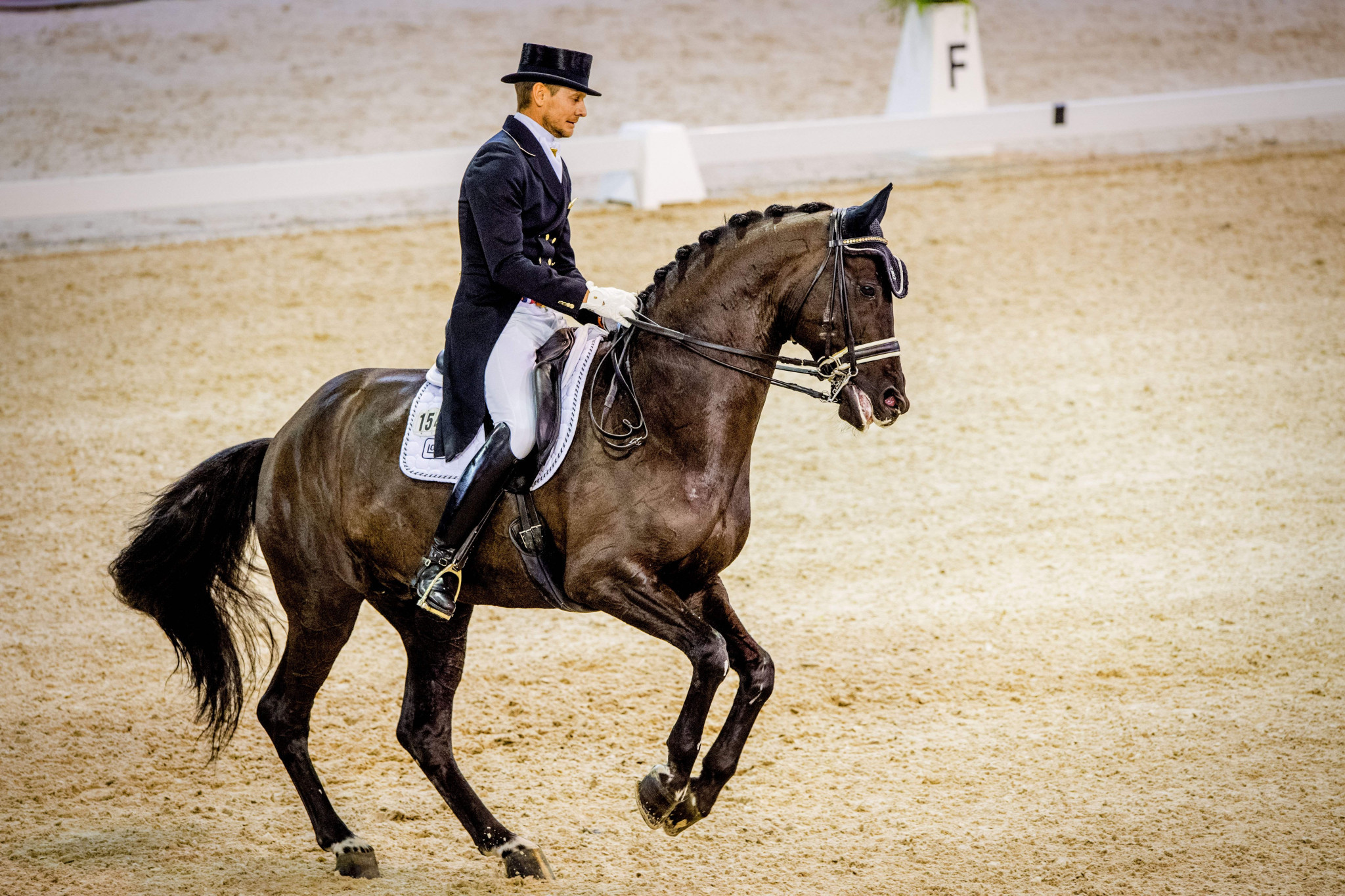 Hosts triumph in FEI Dressage Nations Cup event in Rotterdam