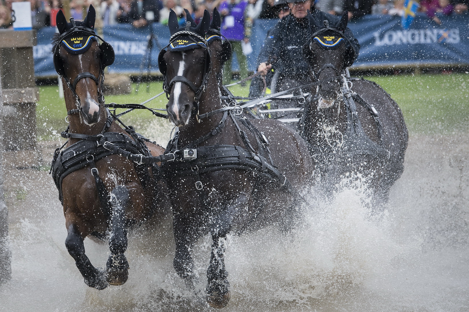 Venues have been announced for 14 events on the equestrian driving calendar up to 2021 ©FEI