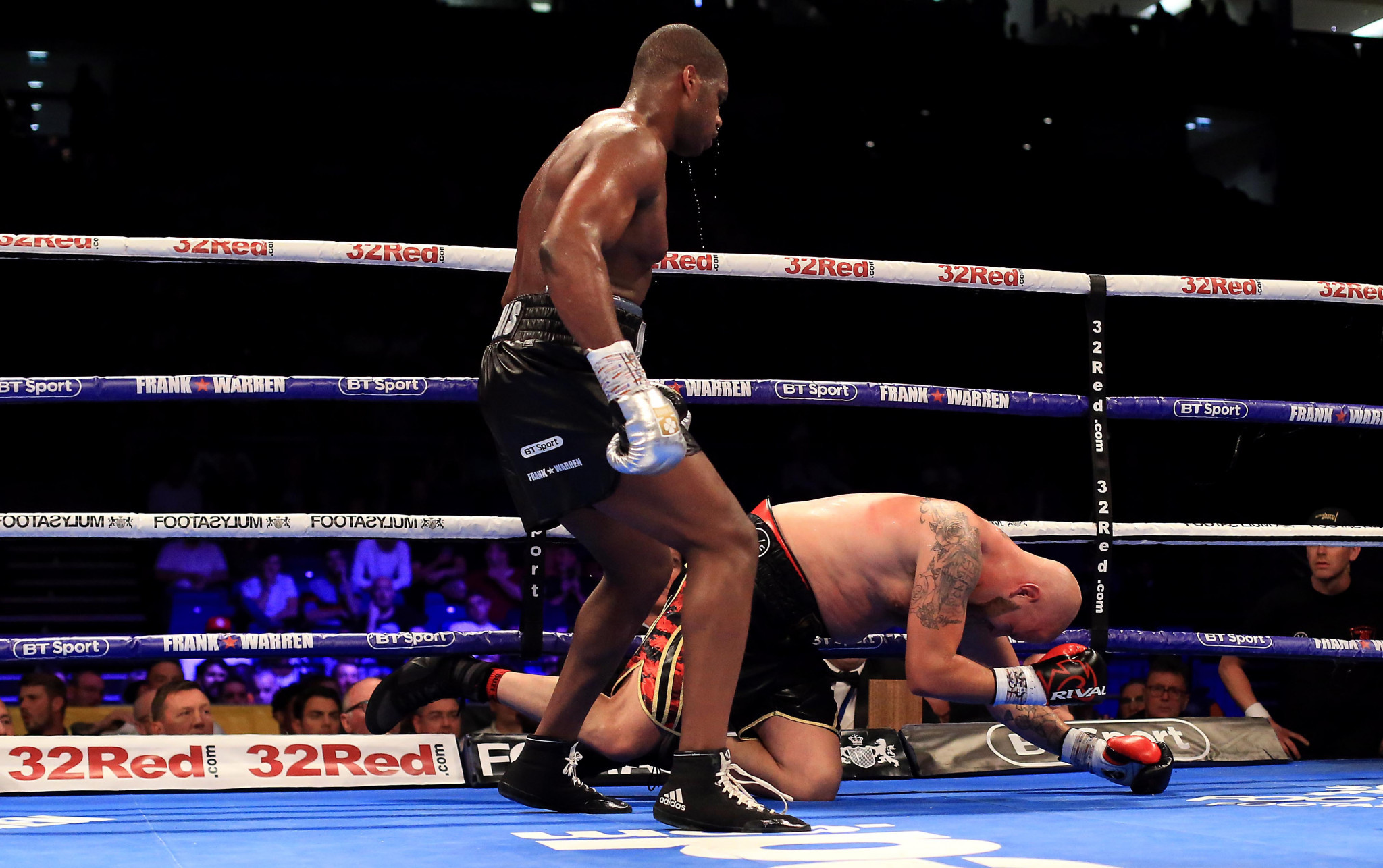 Daniel Dubois, pictured above completing a knockout victory, is predicted to be one of the best prospects in boxing ©Getty Images