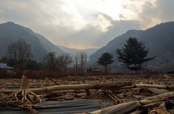 Korean environmental group blast Pyeongchang 2018 for damage to "sacred" forest 