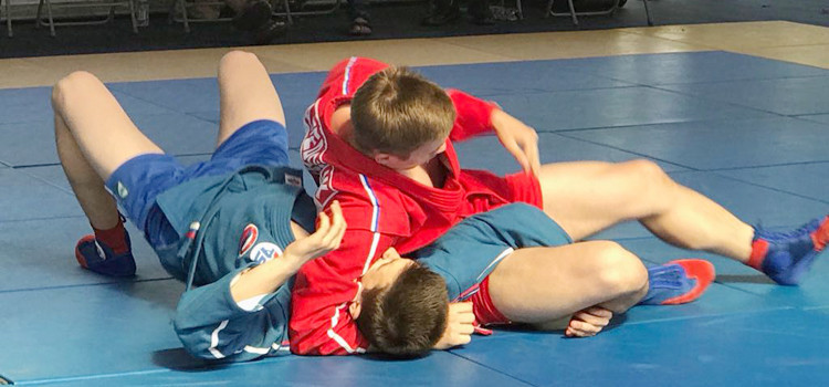 Sambo was demonstrated at the TAFISA Games in The Netherlands ©FIAS