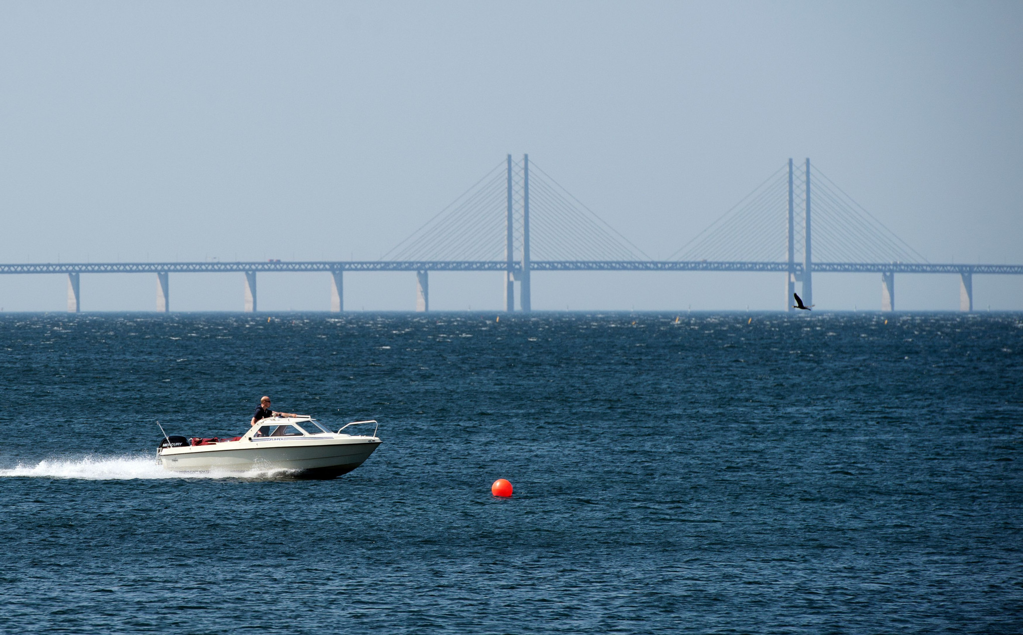 Sweden and Denamrk, on both sides of the Öresund Bridge, will both aim to benefit from the tournament ©WFDF