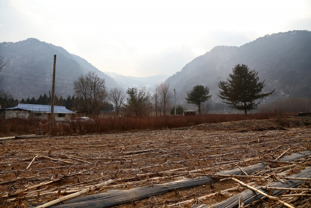 Pyeongchang 2018 have dismissed claims from Green Korea United that Mount Gariwang forest is 
