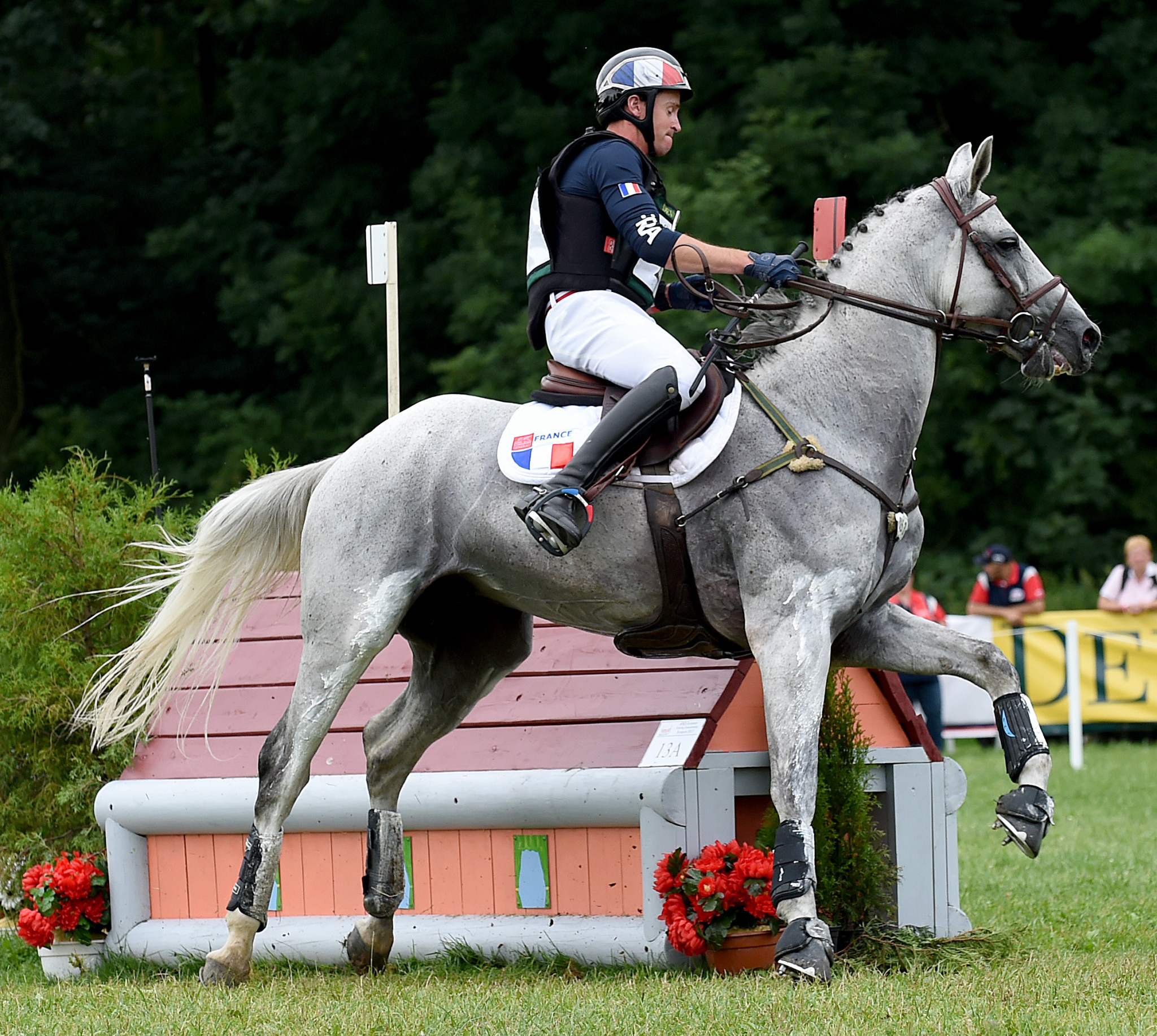 France and United States share lead after dressage at FEI Nations Cup Eventing