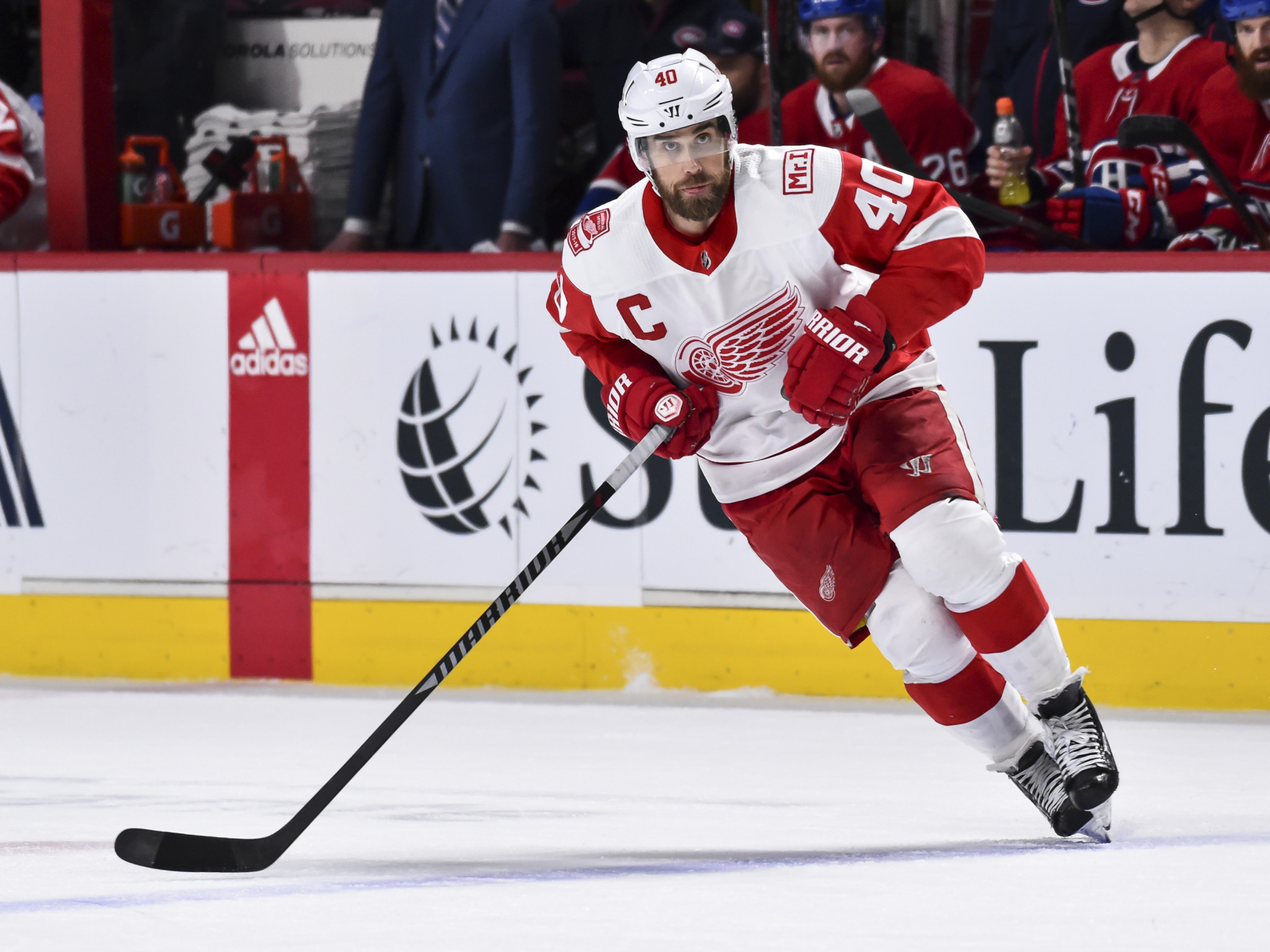 Henrik Zetterberg played his entire NHL career for Detroit Red Wings ©Getty Images
