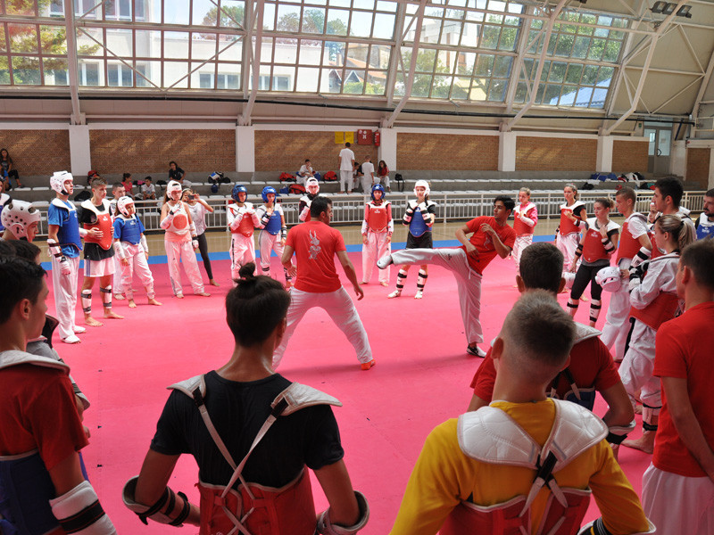Two star taekwondo performers from Iran shared their skills with dozens of people at a training camp in Serbia ©IRITF