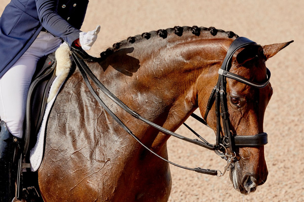 With the welfare of the horses in mind, the individual freestyle dressage was cancelled ©Tryon 2018/Twitter