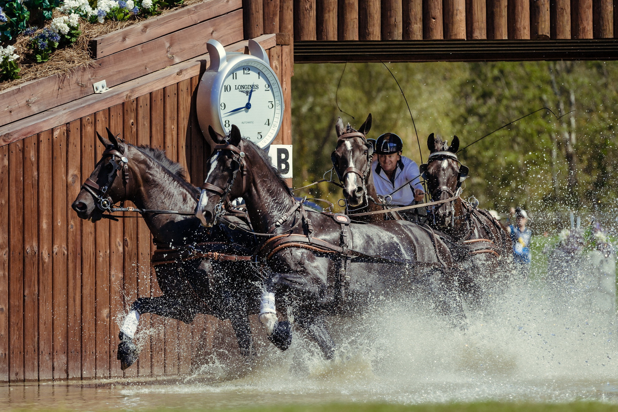  Brakeless Exell excels to maintain driving lead at FEI World Equestrian Games 