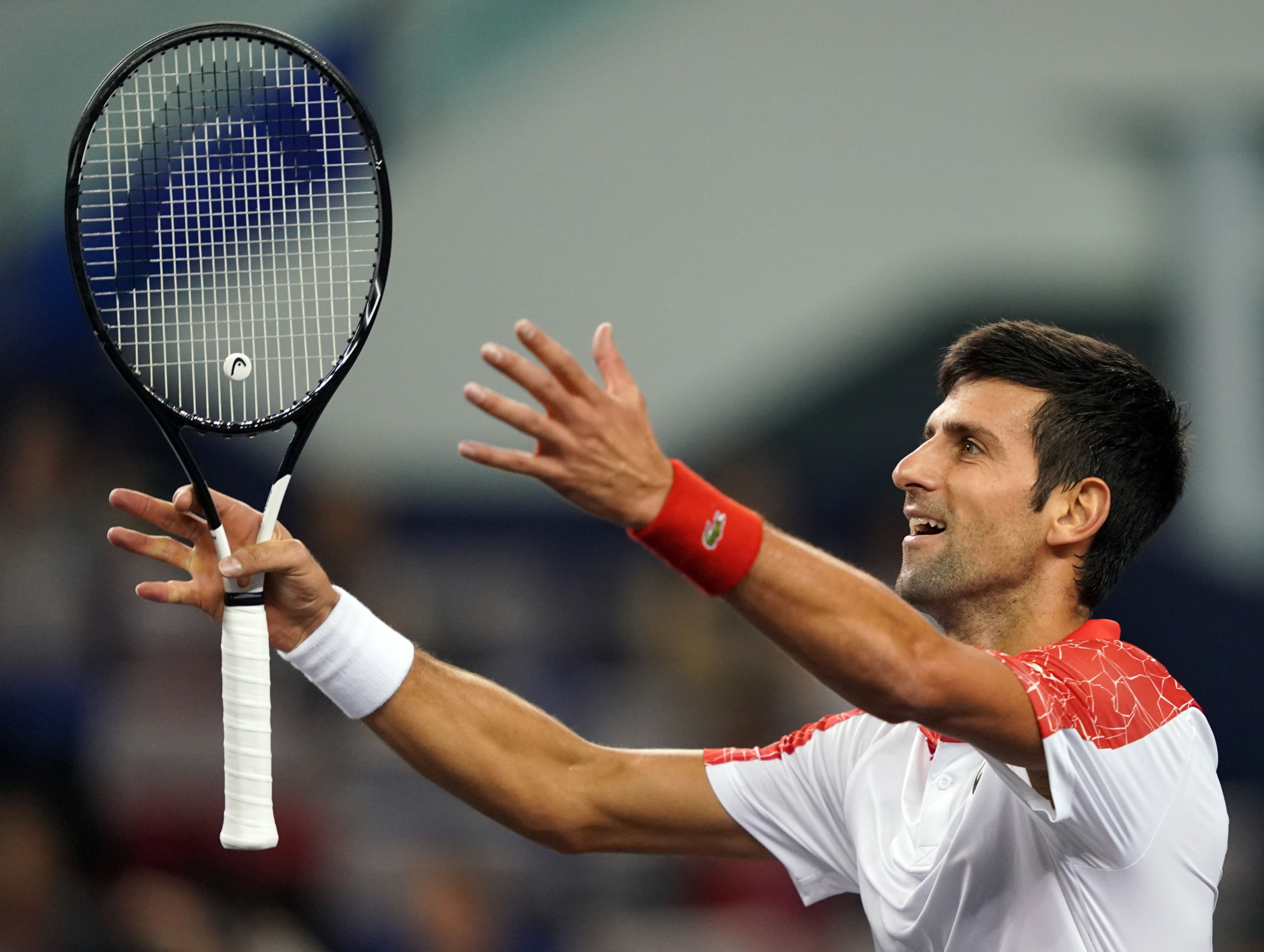 Serbia's Novak Djokovic celebrates beating Jérémy Chardy of France at the Shanghai Masters at the Qizhong Forest Sports City Arena in China ©Getty Images