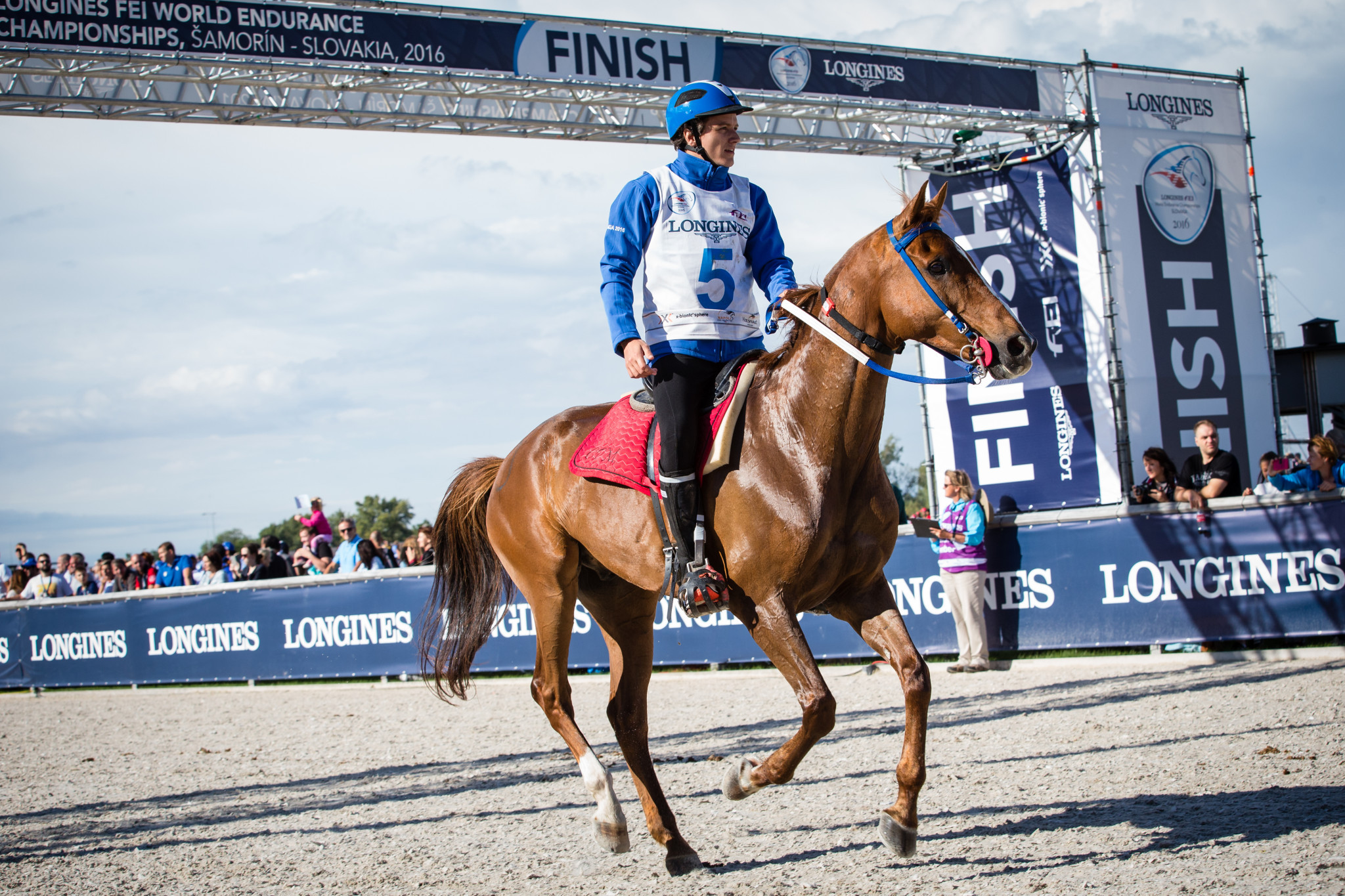 There are calls for endurance racing to focus again on horsemanship and the partnership between horse and human and for there to be less emphasis on winning ©FEI  