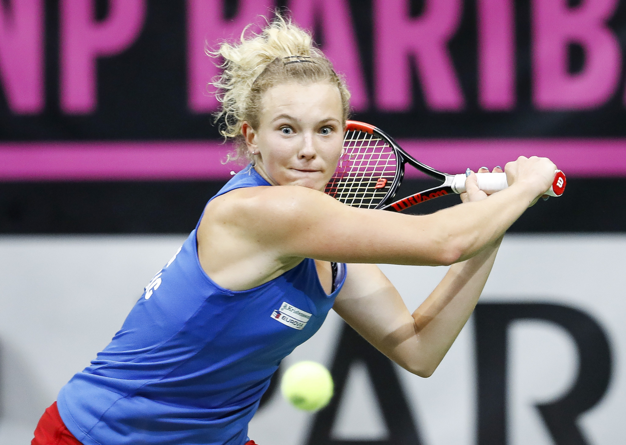Czech Republic win Fed Cup title as Siniakova shines at home