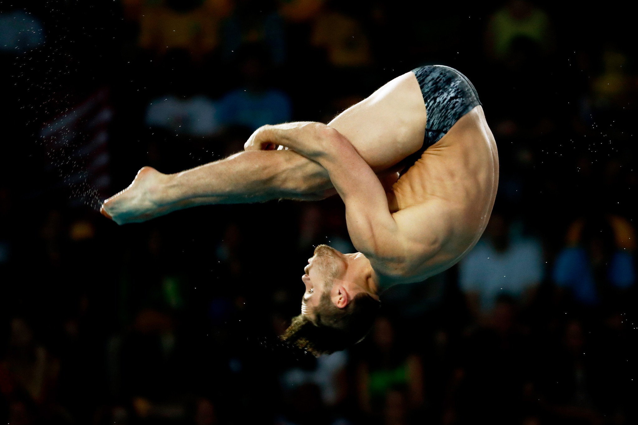America's David Boudia was top qualifier for the men's 3m springboard event at the FINA Diving Grand Prix in the Gold Coast ©Getty Images  