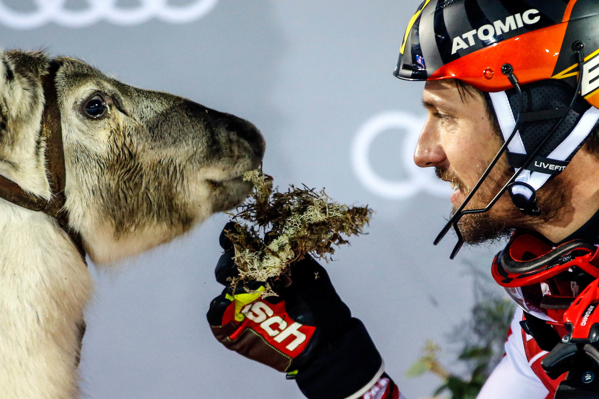 Levi World Cup win means Hirscher keeps up with Shiffrin in the reindeer stakes