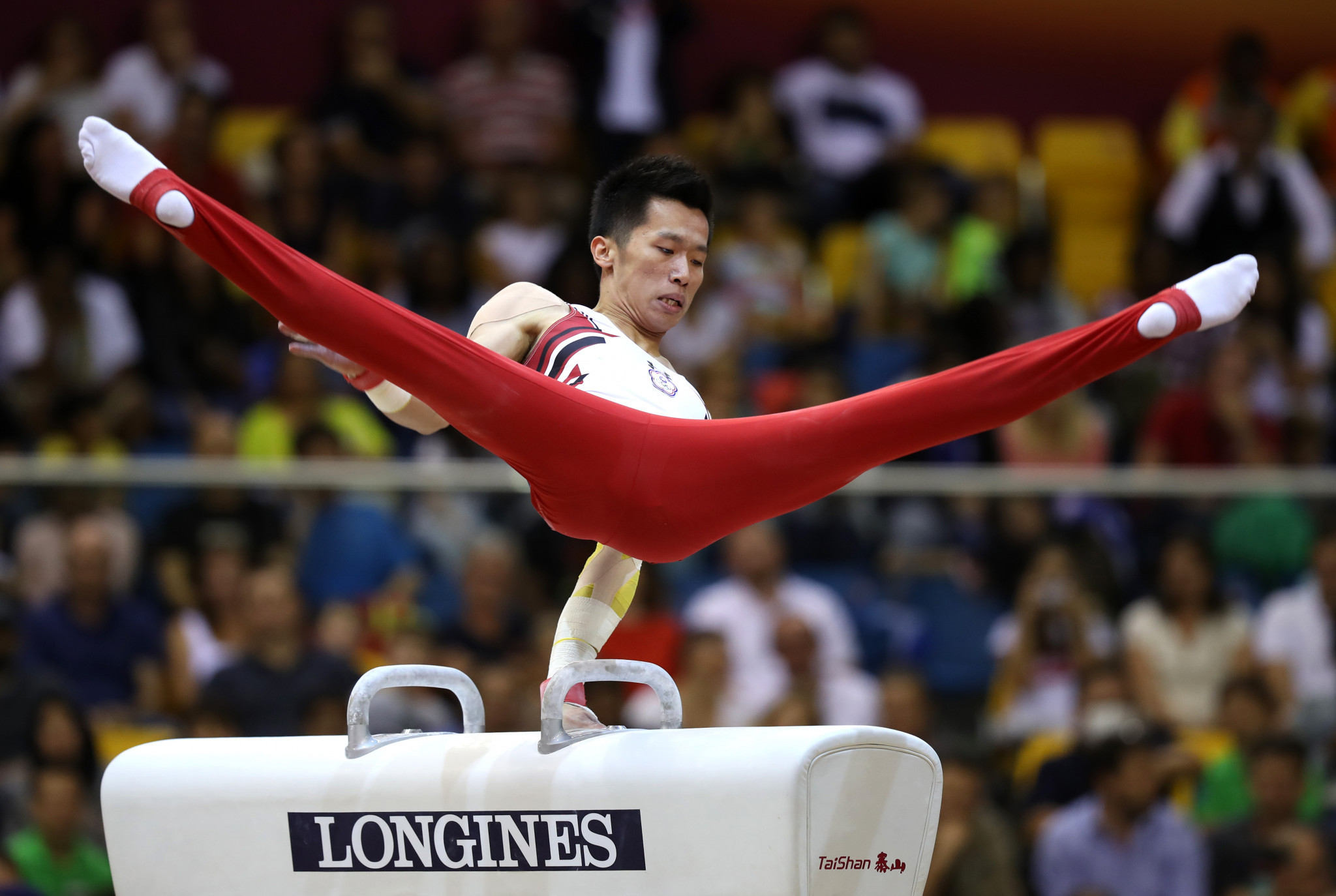 Chinese Taipei's Chih Kai Lee took the gold medal on the pommel horse at the Individual Apparatus World Cup ©Getty Images