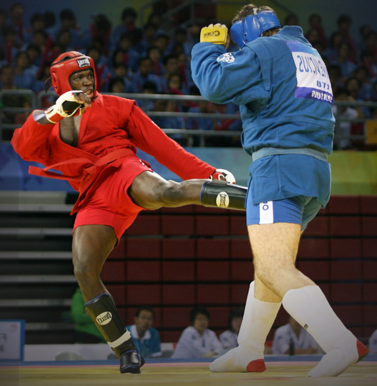 The Commonwealth Sambo Association was founded in March 2012 ©Commonwealth Sambo Association