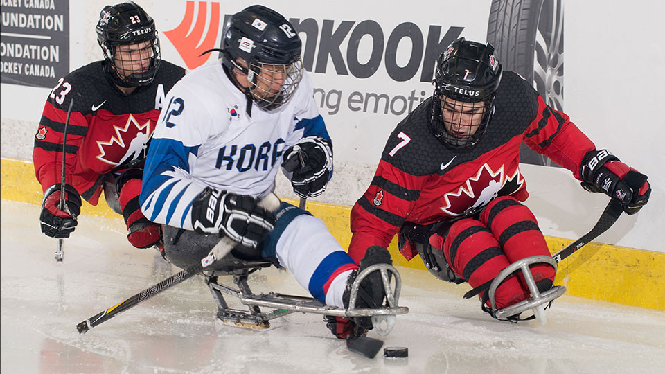 Hosts Canada off to a flyer at Para Hockey Cup