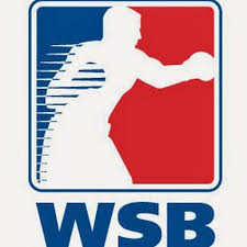 World Series of Boxing announces significant format change in bid to improve profitability 