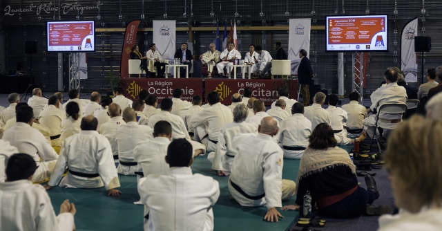 A seminar for instructors and high-graded judoka was held in Toulouse as part of the Japonismes 2018 jita-kyoei project ©IJF