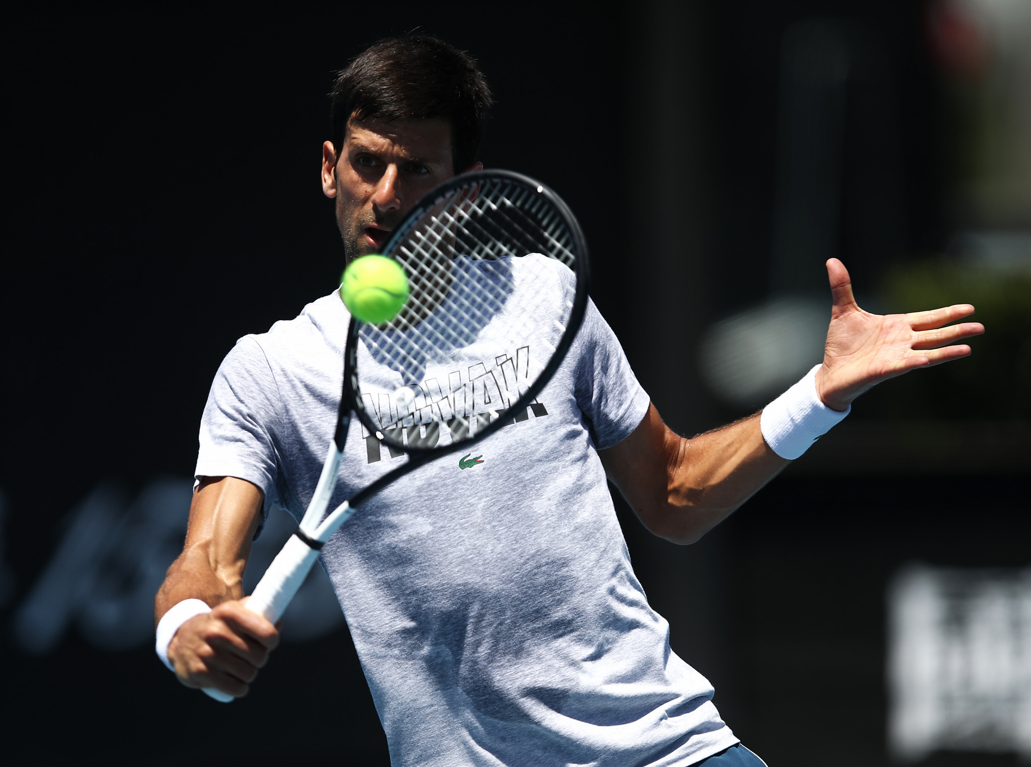 Djokovic and Williams among favourites for Australian Open titles
