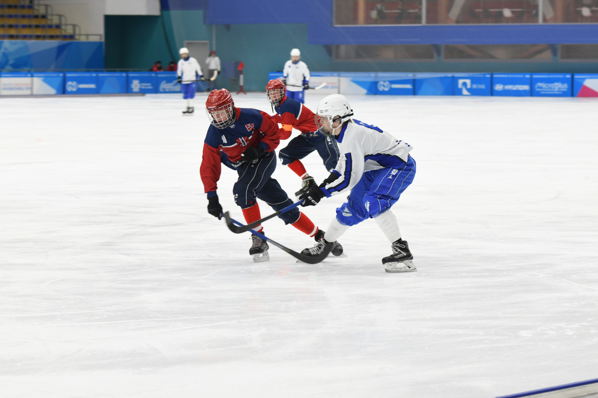 The competition took place at the Yenisei Ice Stadium ©Krasnoyarsk 2019
