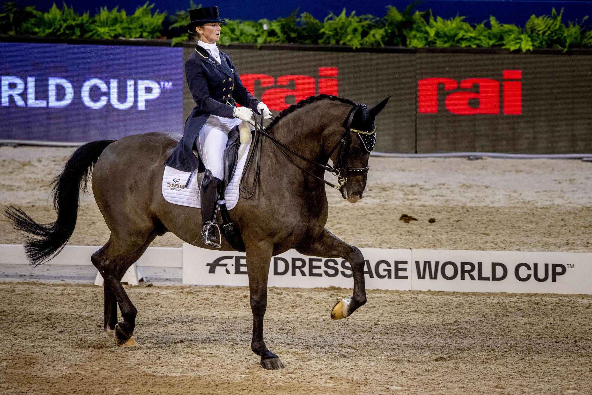 The International Equestrian Federation is accelerating development of an electronic registration system for horses competing in FEI disciplines in response to Brexit ©Getty Images