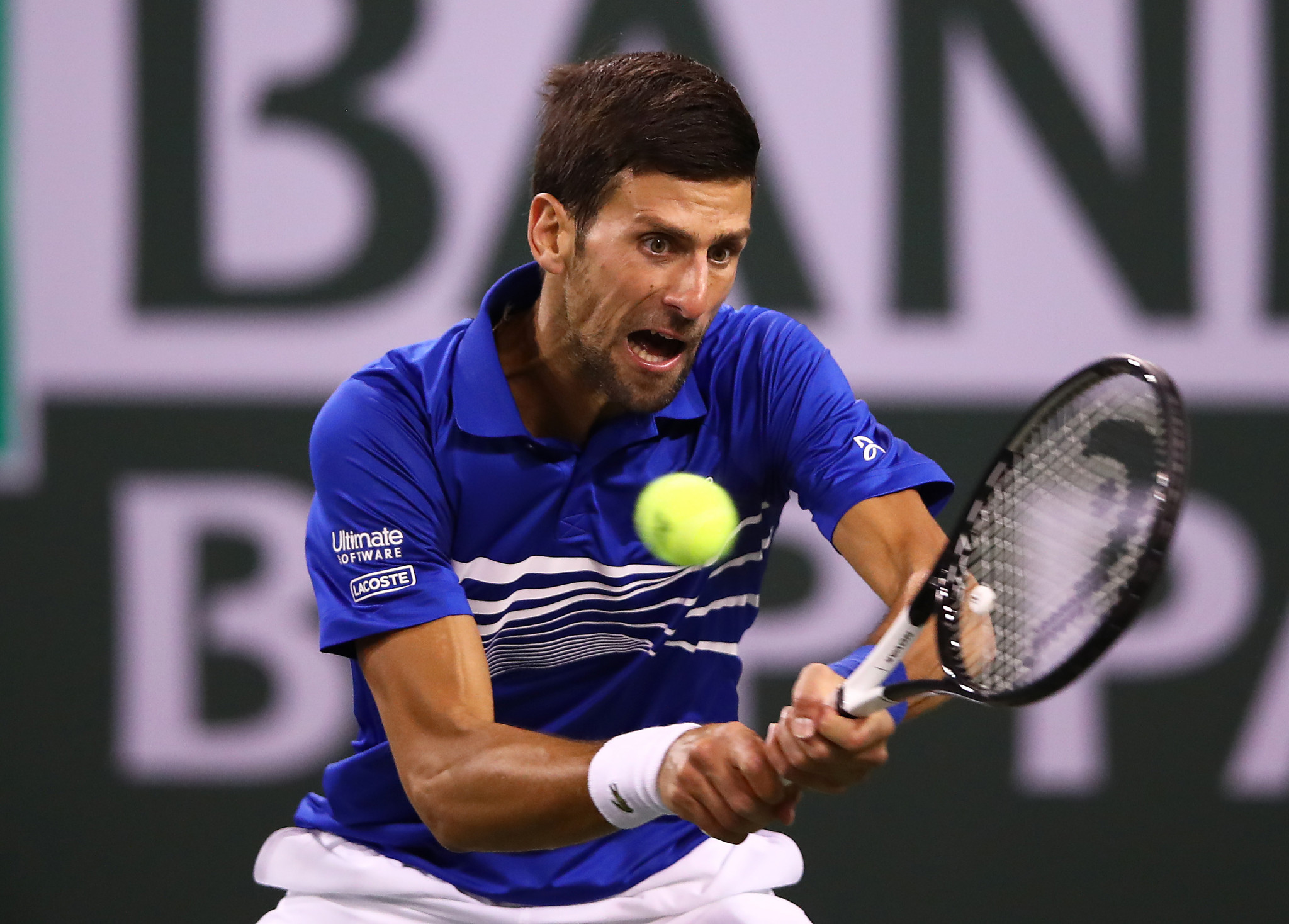 Djokovic and Osaka reach third round with straight-sets victories at Indian Wells