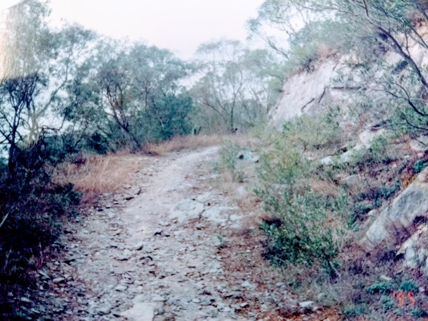 The track up to the the training centre on Chanshui Island ©CWF