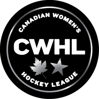 Canadian Women’s Hockey League collapses amid "economically unstable" business model 