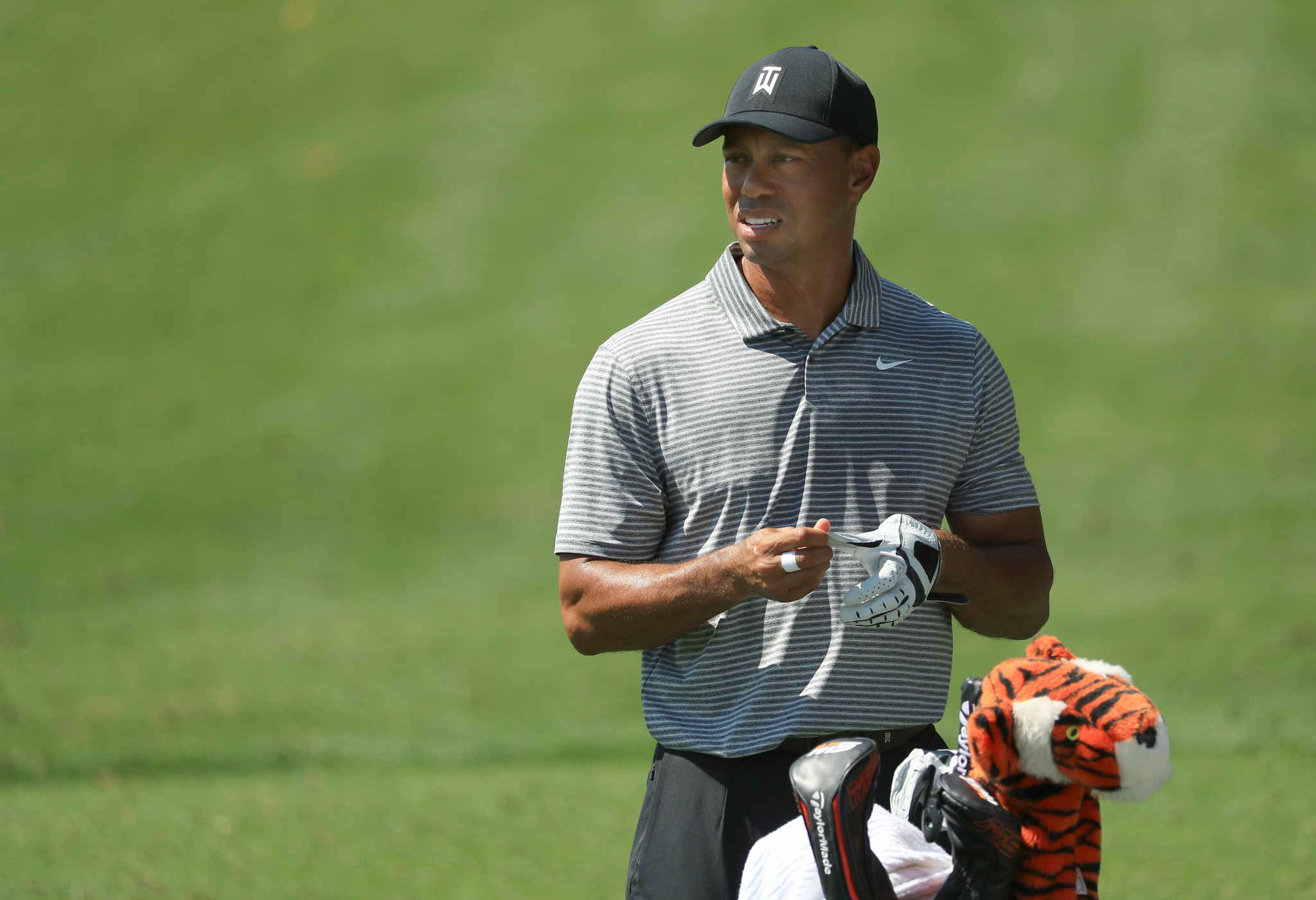 Tiger Woods will be aiming to end his 10-year drought in the majors when he competes at The Masters at Augusta National Golf Club this week ©Getty Images