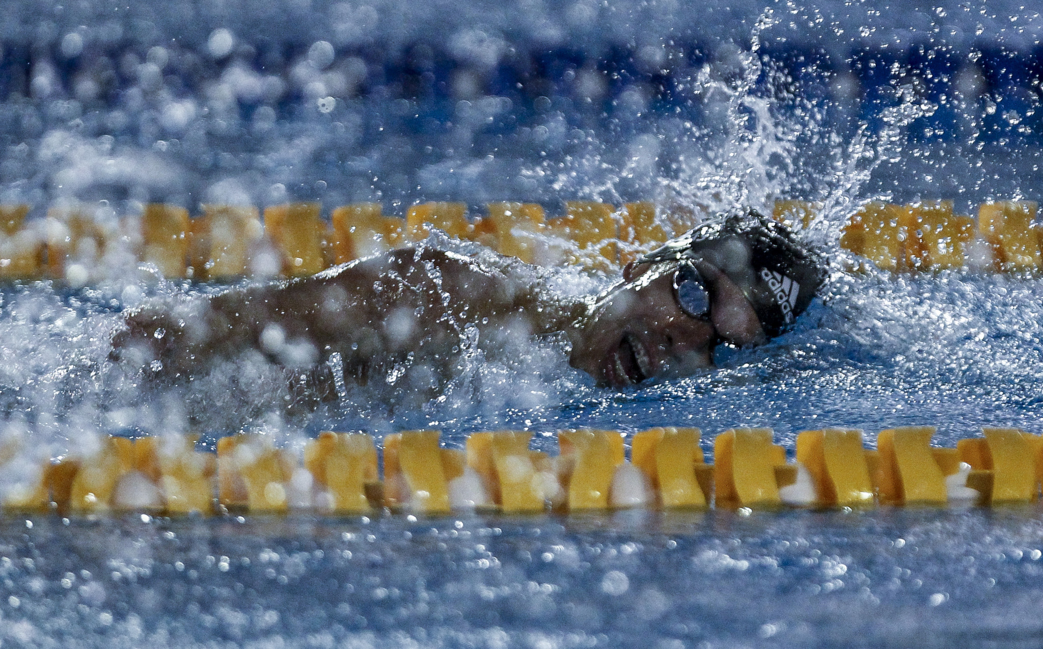 Dias triumphs in sprint event at World Para Swimming Series in São Paulo