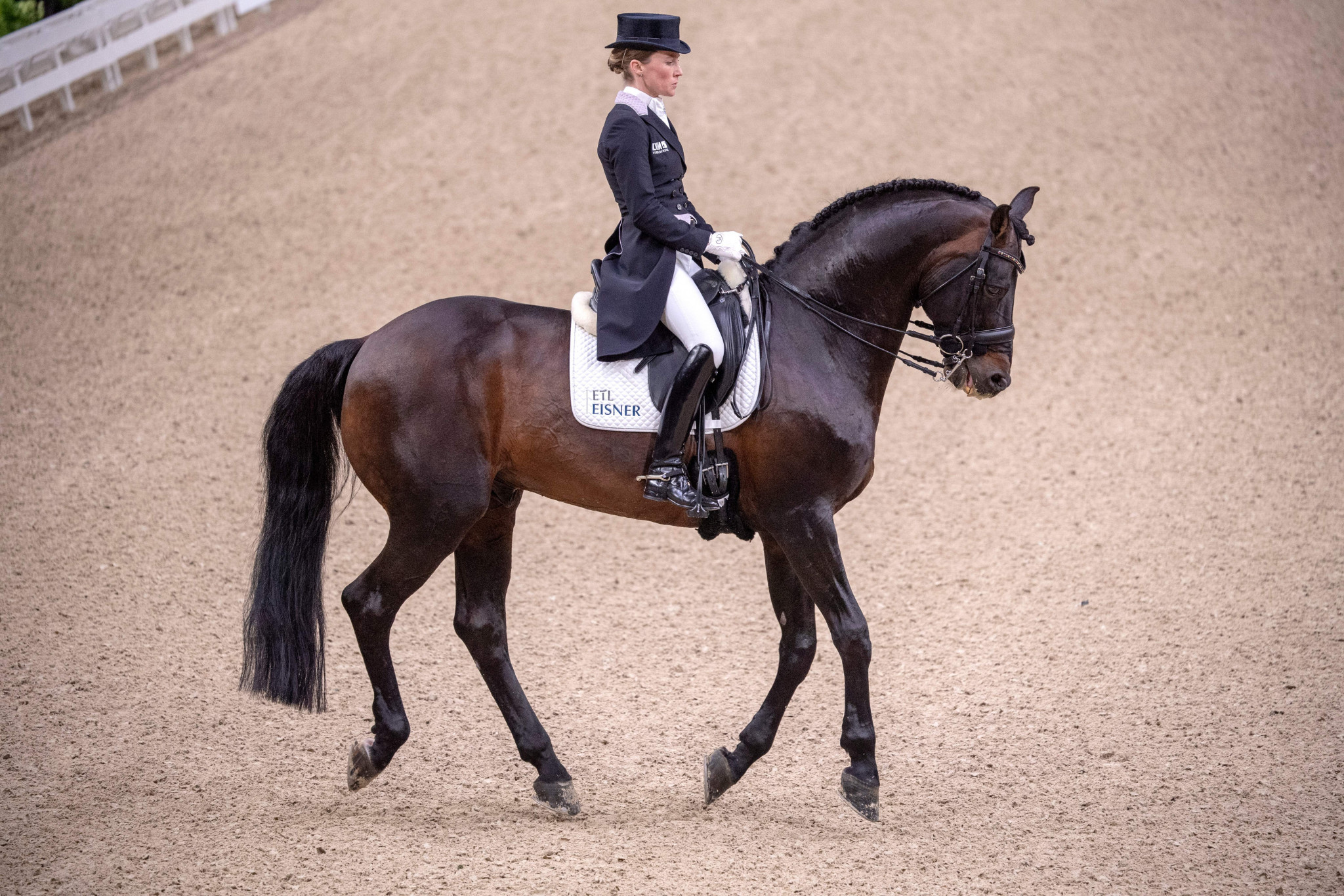  Compiègne prepares to host second round of FEI Dressage Nations Cup 