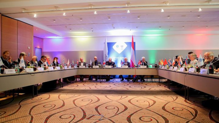 The crucial question of how to define and safeguard the European sports model was addressed once again at today's European Olympic Commitees Executive Committee meeting in Vienna ©EOC