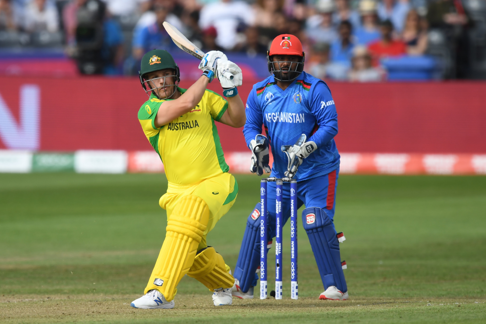 Australia and New Zealand begin Cricket World Cup campaigns with comfortable wins