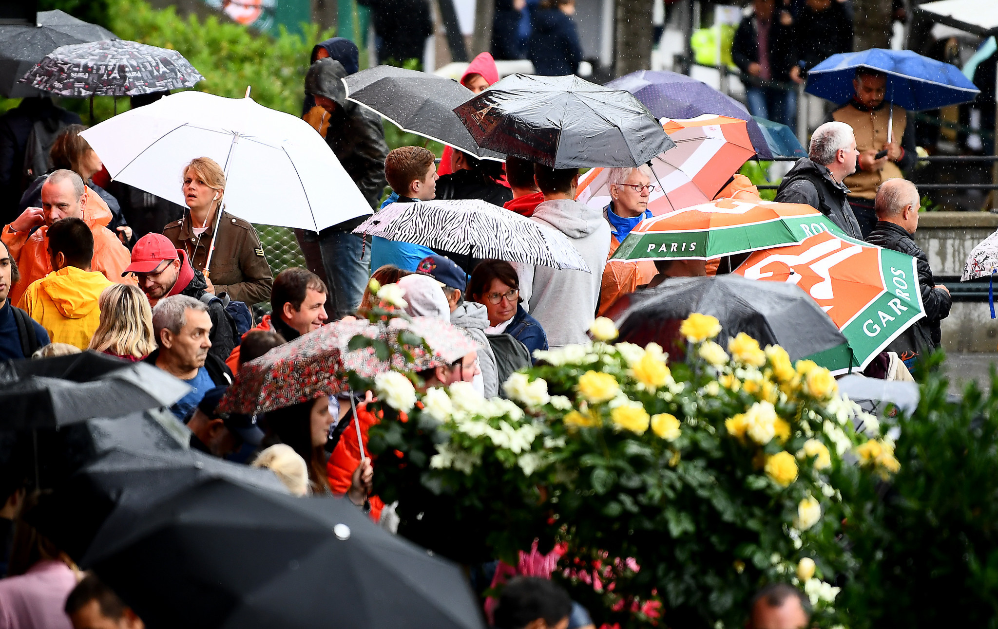 Fans take cover under umbrellas as rain prevents play at the French Open ©Getty Images