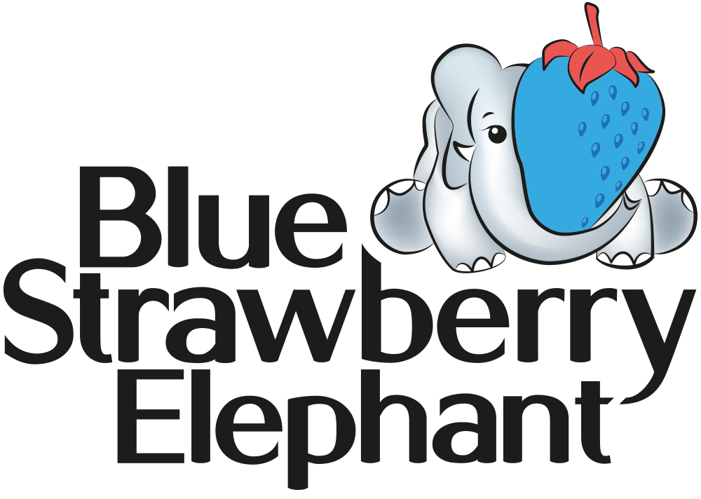 Blue Strawberry Elephant have been appointed by the International Federation for Athletes with Intellectual Impairments to carry out a rebrand ©Blue Strawberry Elephant